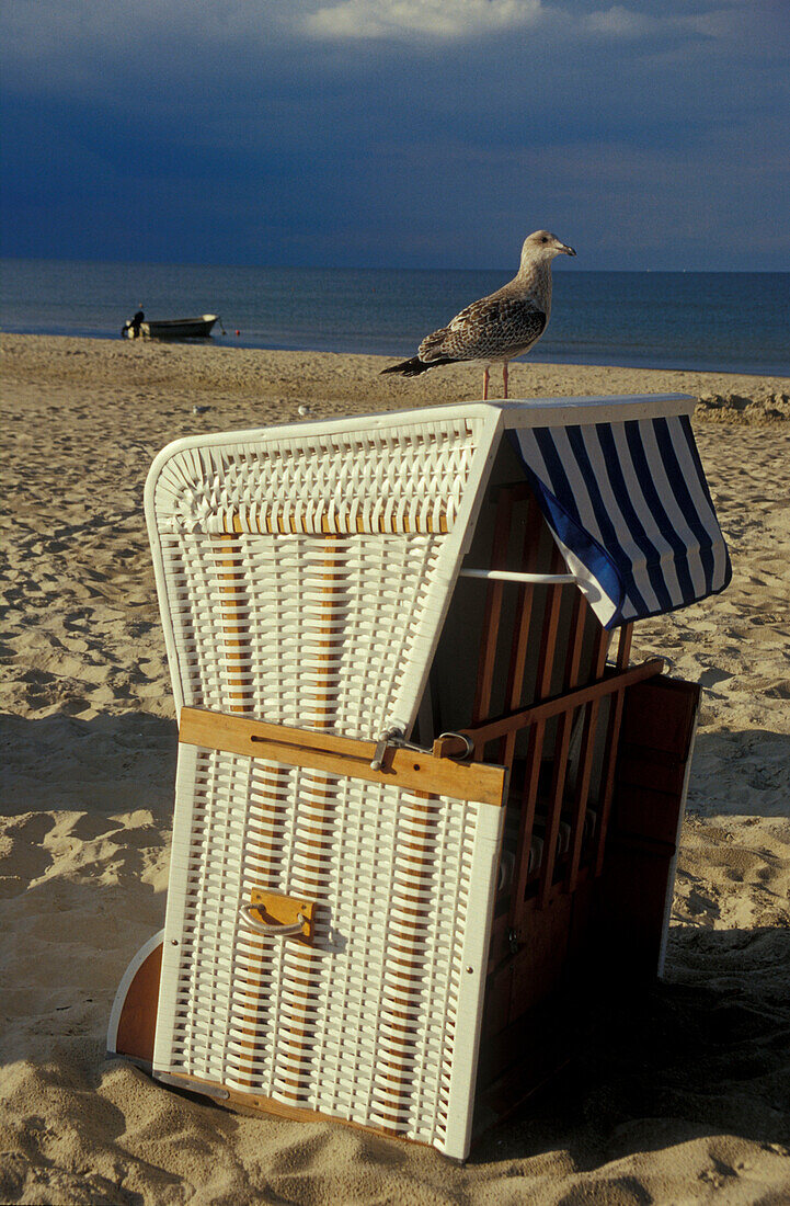 Beach chairs at the baltic sea, near Ahlbeck, Usedom, Mecklenburg-Pomerania, Germany, Europe