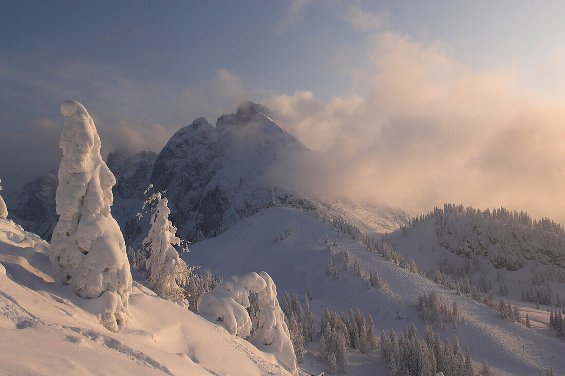 Winter scenery, Gosau, Austria