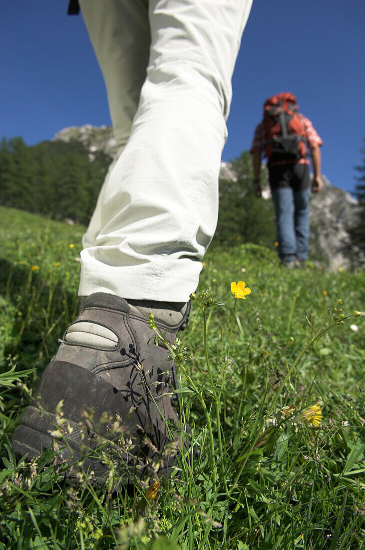 Hikers walking in meadow, Austria