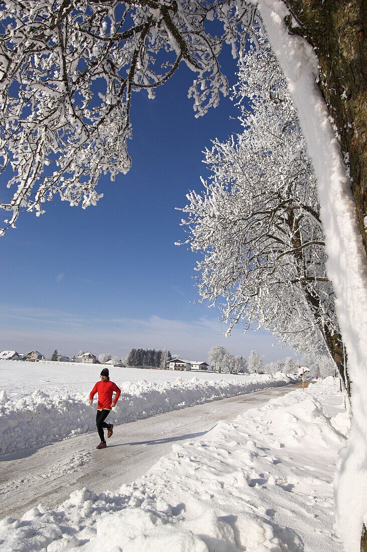A man jogging in a winter landscape, Upper Austria, Austria