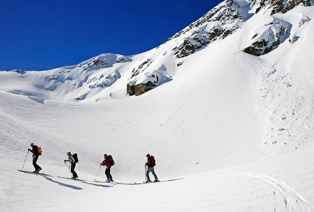 Vier Menschen steigen mit Skiern auf zum Gipfel des Maljovica im Rila Gebirge, Bulgarien, Europa