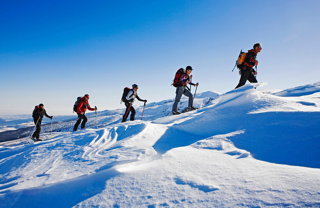 Eine Gruppe Skitouristen steigt auf mit Skiern und Fellen zum Gipfel des Popova Kapa, Bulgarien, Rila Gebirge, Europa, MR