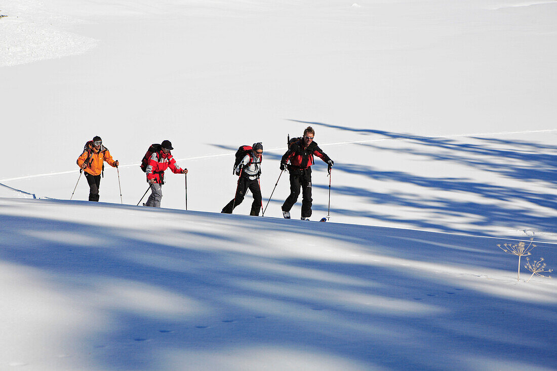 Eine Gruppe Skitouristen steigt auf mit Skiern und Fellen zum Gipfel des Popova Kapa, Bulgarien, Rila Gebirge, Europa