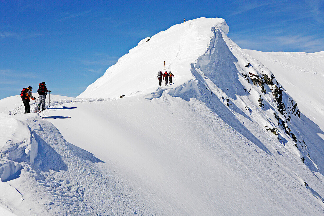 Fünf Skitouristen steigen mit Skiern  über einen verwächteten Grat auf. Die Skitouristen sind unterwegs zum Gipfel des Maljovica im Rila Gebirge, Bulgarien