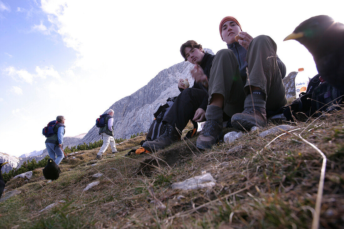 Wanderer teilen ihre Brotzeit mit den Dohlen, Alpspitze, Wettersteingebirge, Bayern, Deutschland