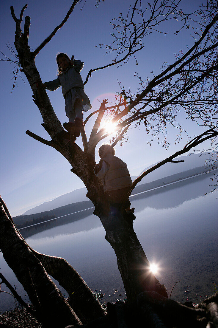 Zwei Kinder klettern in einem Baum, Staffelsee, Bayern, Deutschland