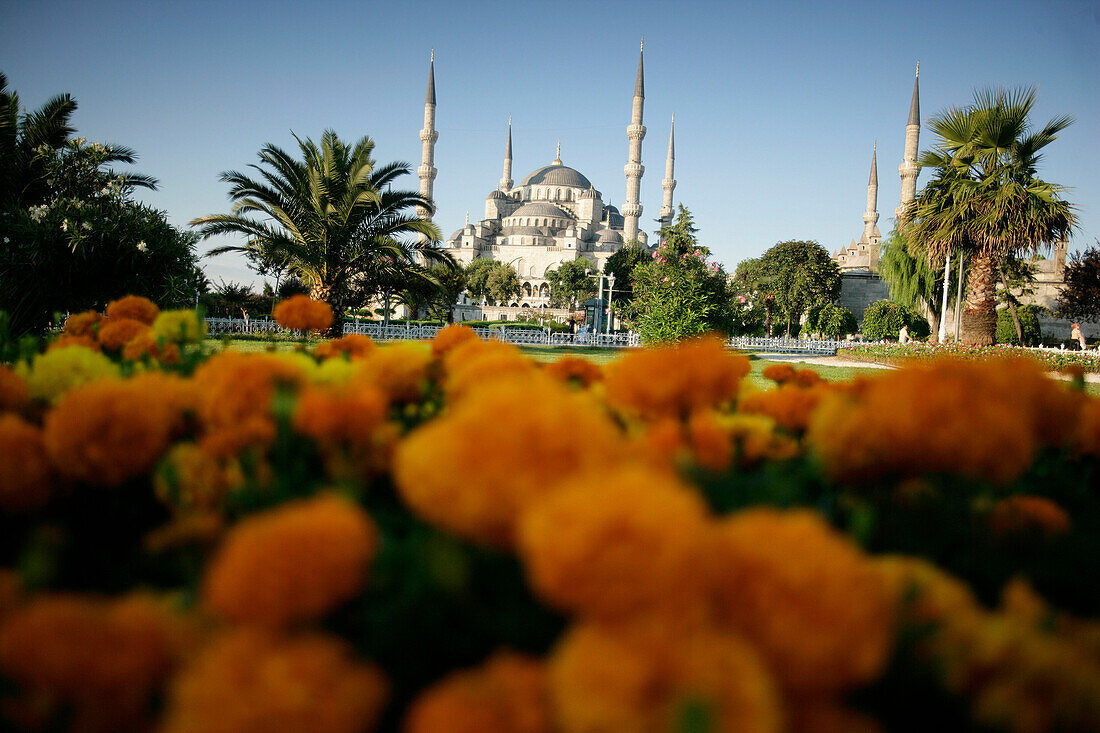 Sultan Ahmed Moschee, Istanbul, Türkei