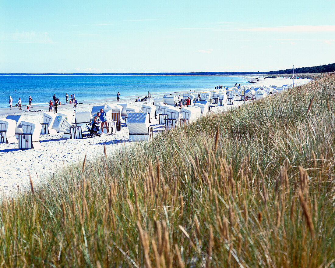 Group of hooded beach chairs, Ruegen Island,Mecklenburg-Western Pomerania, Germany