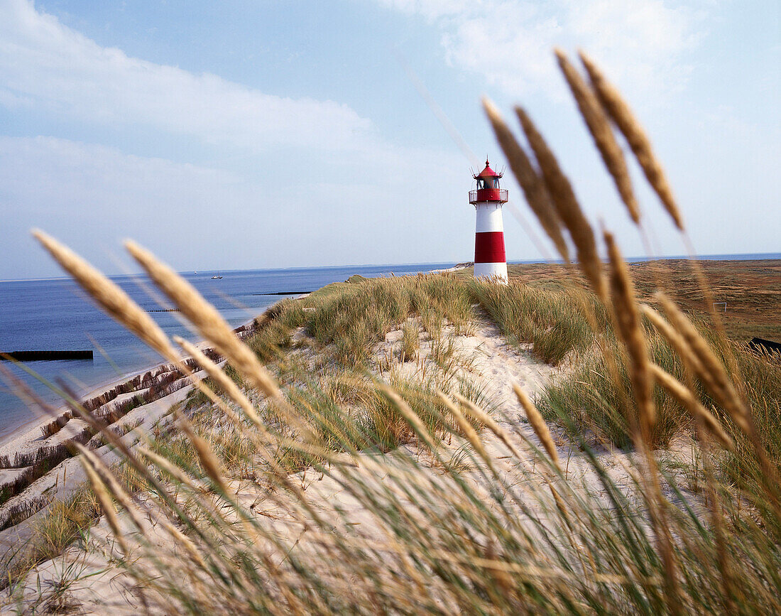 Leuchtturm List-Ost, Naturschutzgebiet Ellenbogen, Nordost-Strand, bei List, Insel Sylt, Deutschland