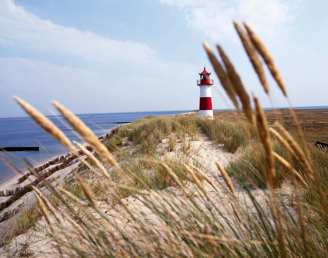 Lighthouse and barrier dunes,  near List, Westerland, Sylt Island, Germany