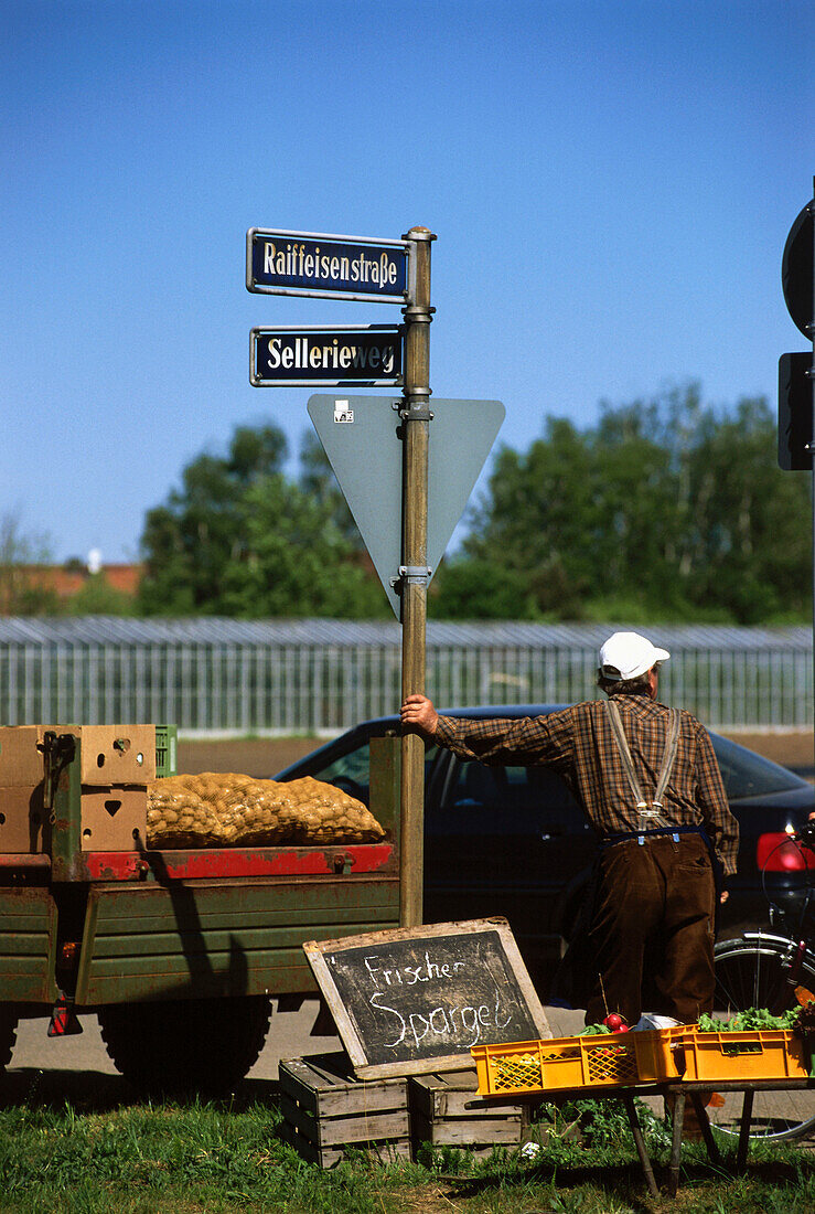 Man selling vegetables in Knoblauchsland, Nuremberg, Franconia, Bavaria, Germany