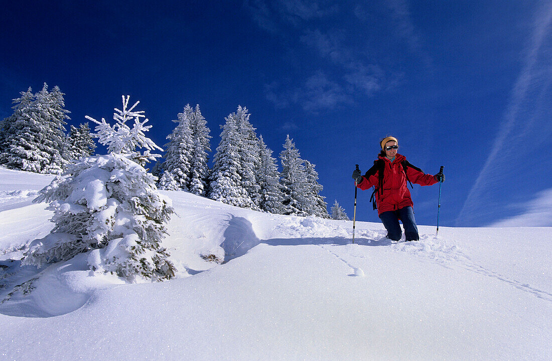 Woman hiking in deep snow, mount Spitzstein, Chiemgau Alps, Upper Bavaria, Bavaria, Germany