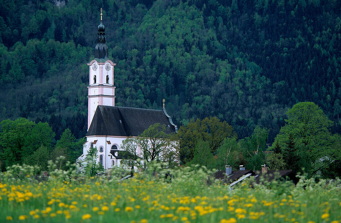 Kirche von Flintsbach mit Blumenwiee im Vordergrund, Oberbayern, Bayern, Deutschland
