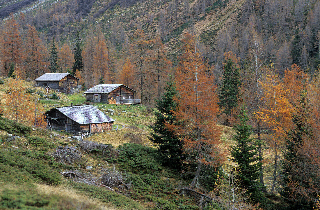 Traditionelle Almgebäude aus Holz mit herbstlich verfärbten Lärchen, Lesachalmen, Hochschobergruppe, Osttirol, Österreich
