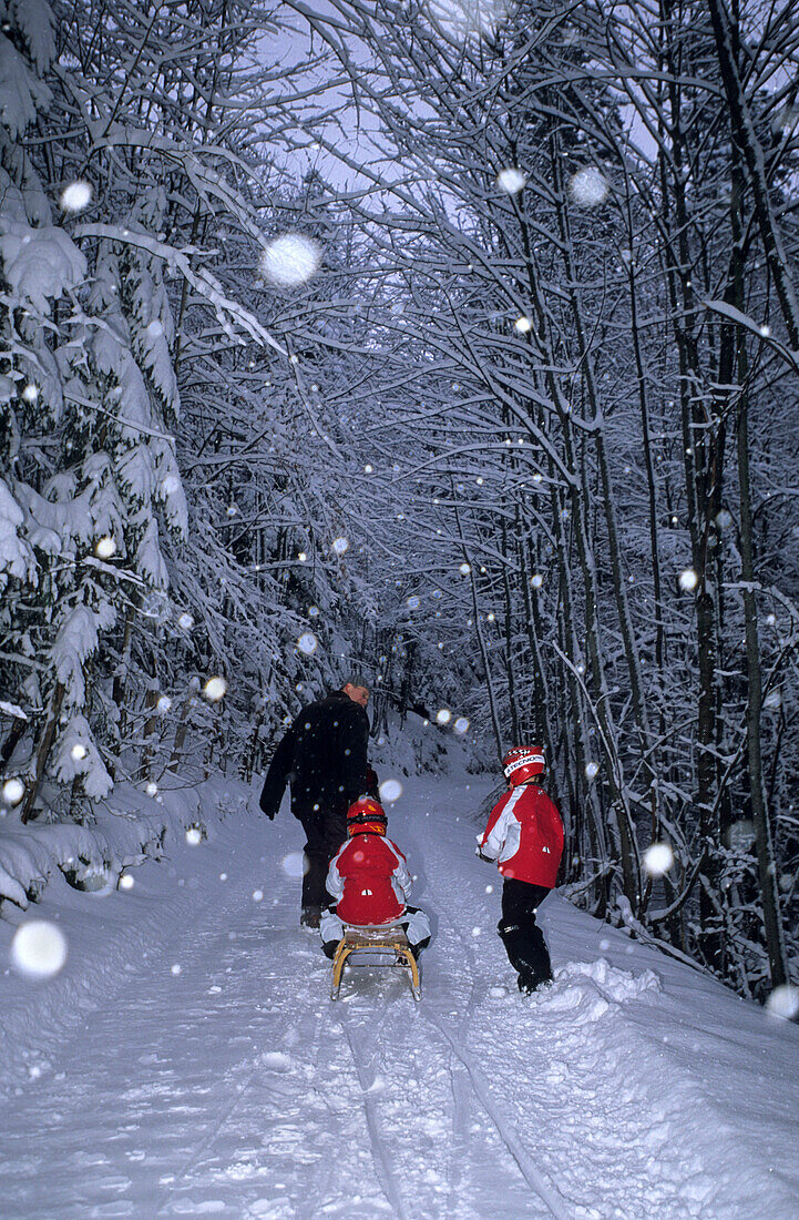Vater mit zwei Kindern beim Rodeln bei Schneefall, Krispl, Salzburg, Österreich