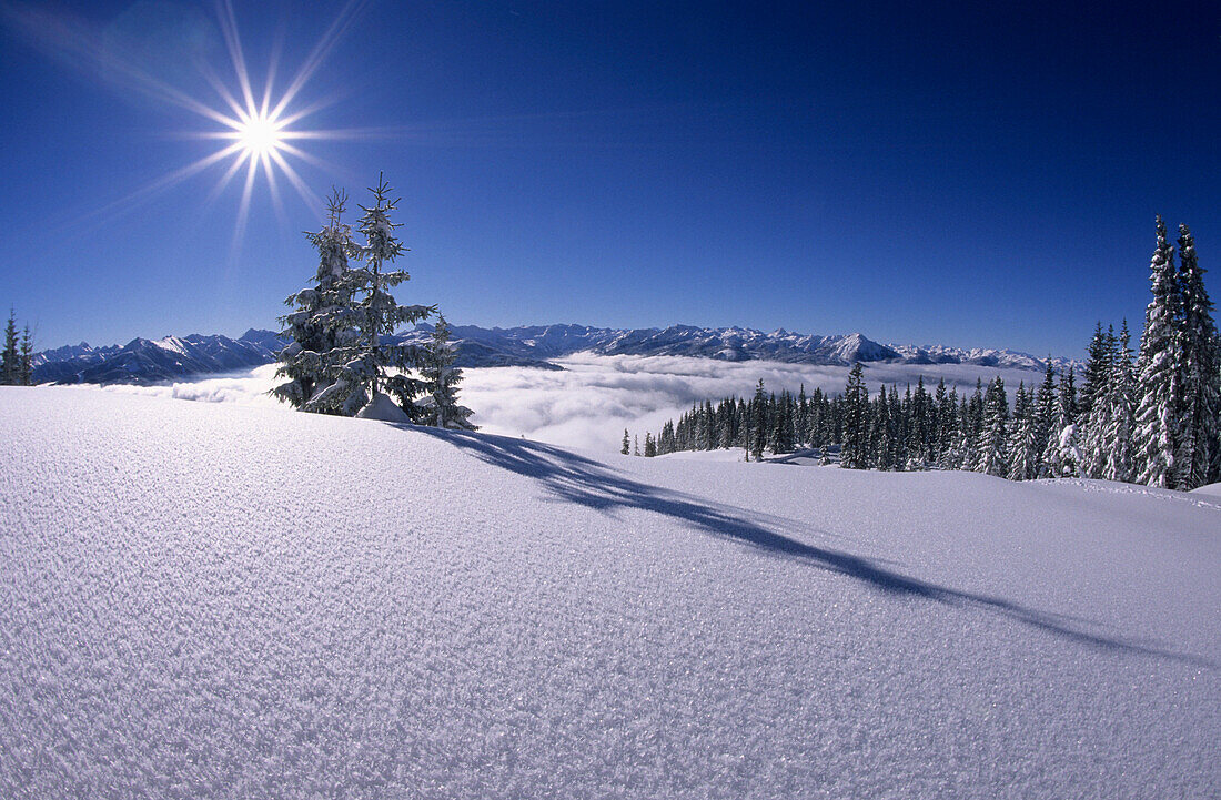 Verschneiter Winterwald mit Blick auf Schladminger Tauern, Dachsteingruppe, Salzburg, Österreich