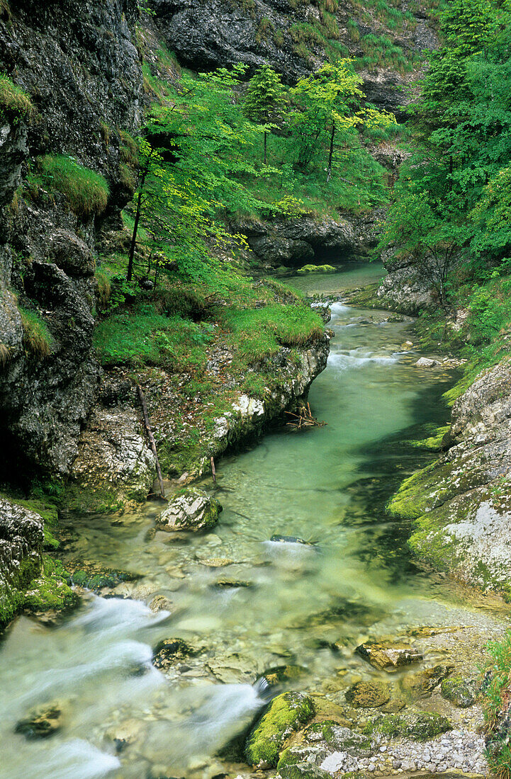 Weißbach river, Chiemgau, Upper Bavaria, Bavaria, Germany