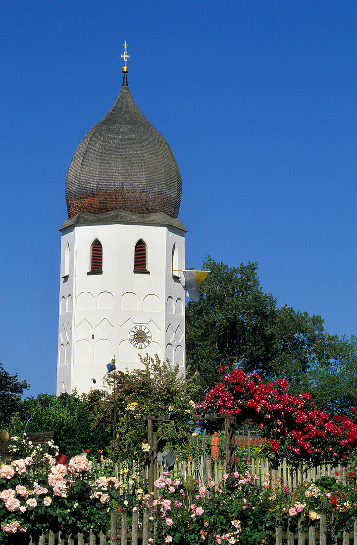 Kirchturm des Klosters und Klostergarten mit blühenden Rosen, Fraueninsel, Chiemsee, Chiemgau, Oberbayern, Bayern, Deutschland