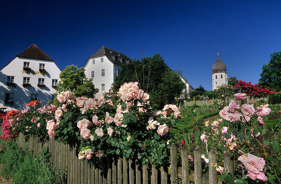 Klostergarten, Frauenchiemsee, Chiemsee, Chiemgau, Bayern, Deutschland