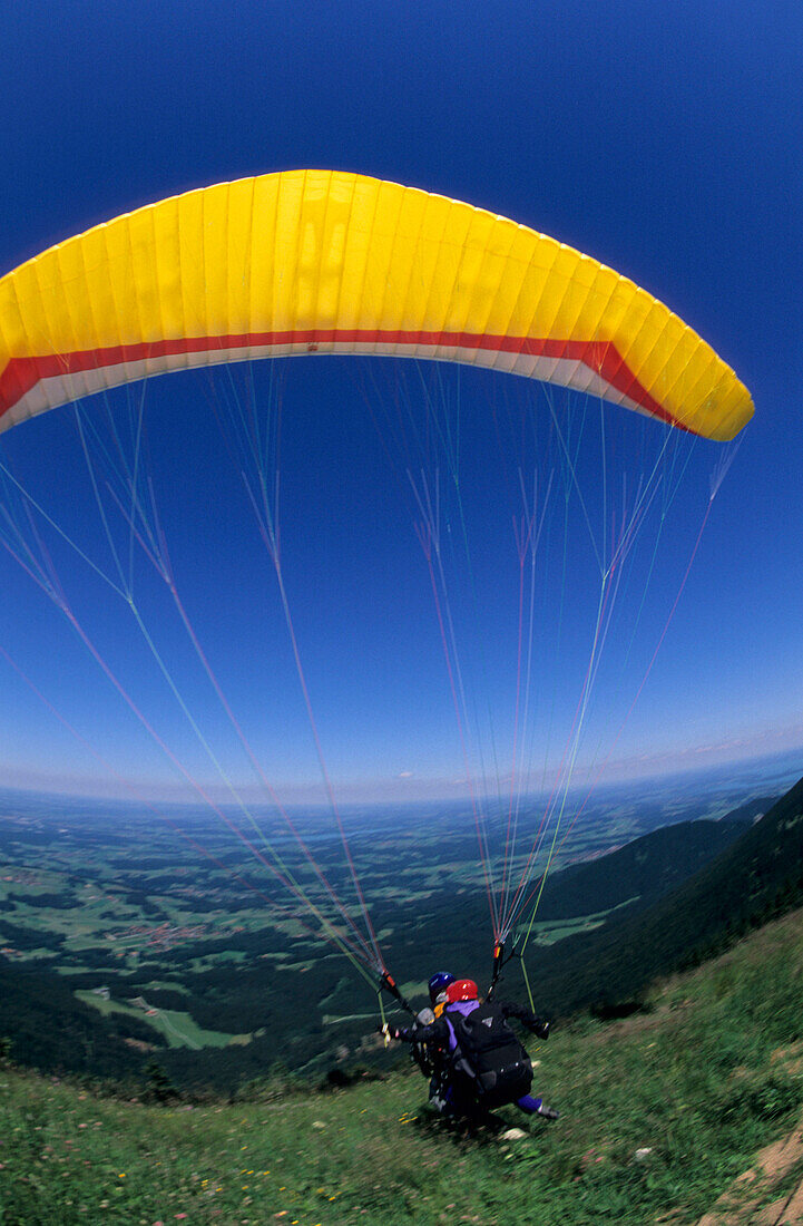 Paraglider taking off at Hochries, tandem flight, Chiemgau, Upper Bavaria, Bavaria, Germany