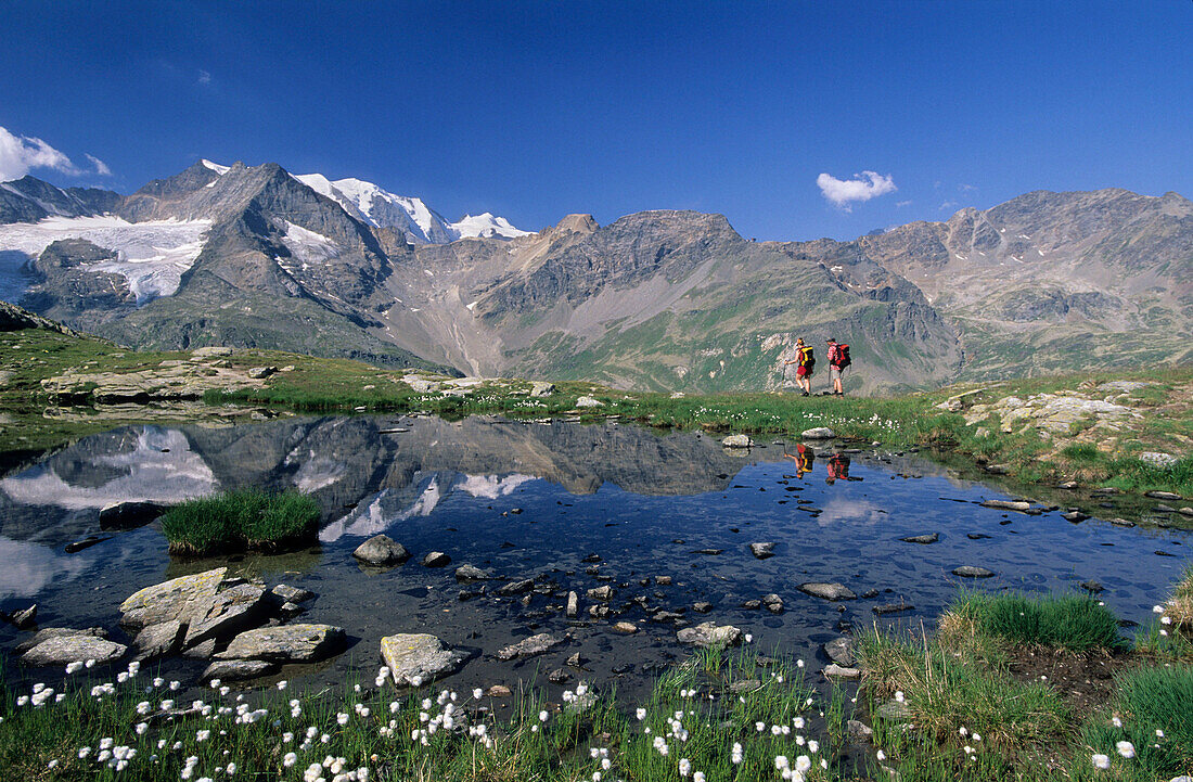 Two hikers at a mountain lake, view to Piz Palü and Bellavista, Bernina, Oberengadin, Grisons, Switzerland