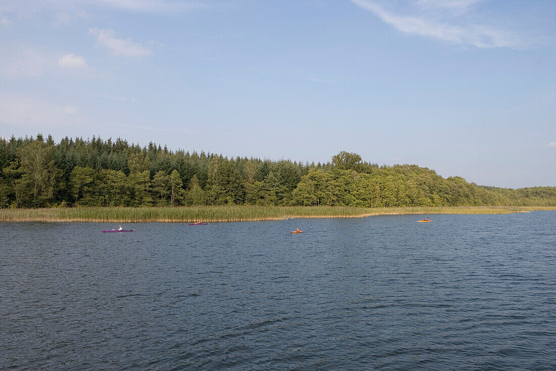 Kayaks on Lake Labussee, Mecklenburg Lake District, Mecklenburg Western Pomerania, Germany