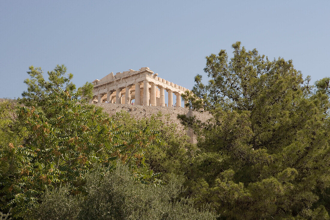 Pine Trees and Parthenon, Acropolis, Athens, Greece