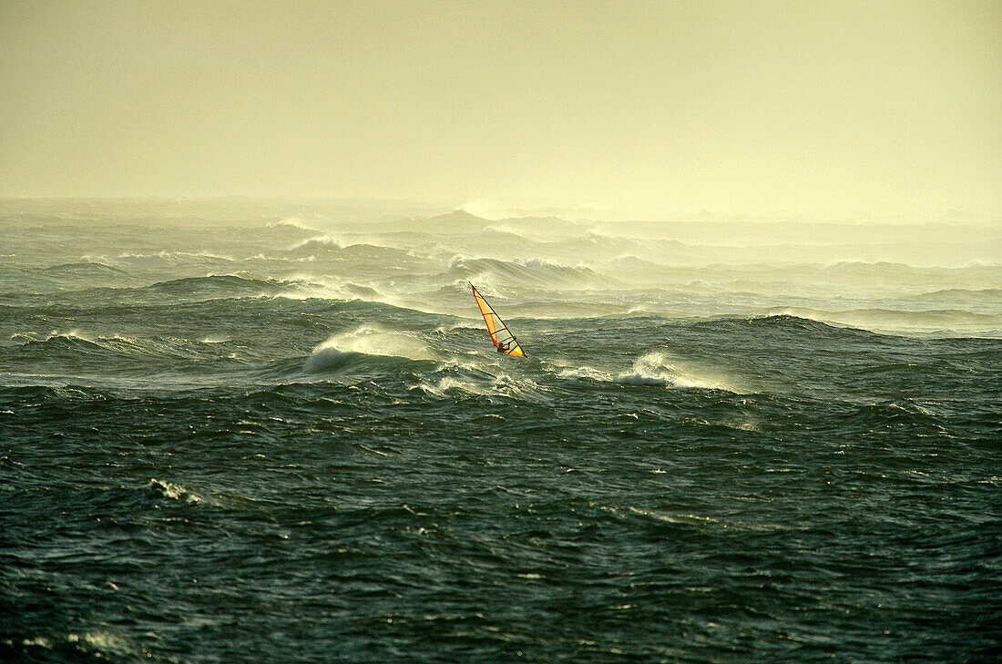 Windsurfer windsurfing in rough waves, North Sea, Sylt, Germany