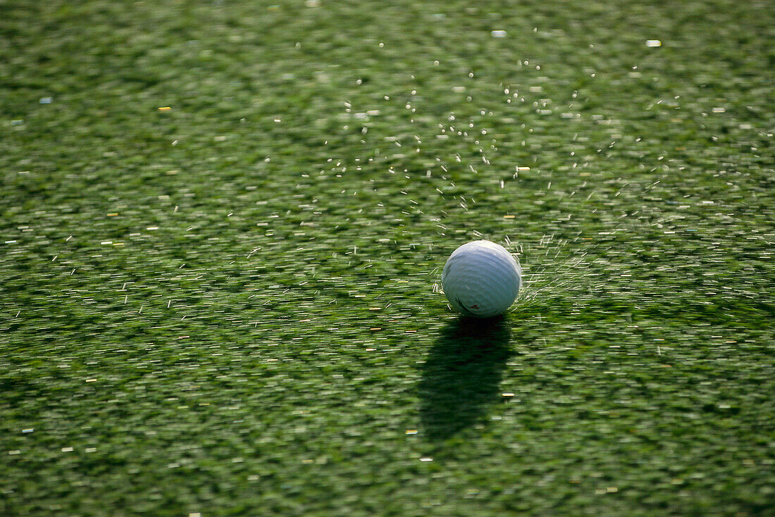Close up of a golf ball, Palheiro Golf Club, Funchal, Madeira, Portugal, Europa
