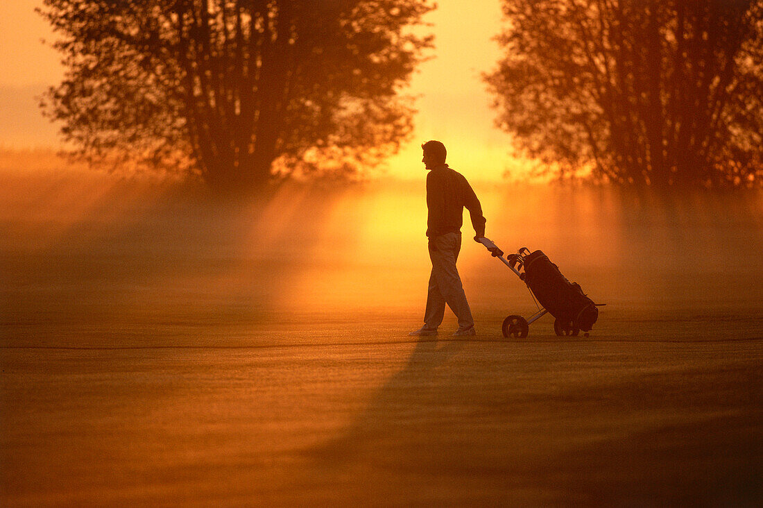 A golf player pulling golf bag over golf course at sunset, Golf, Sport