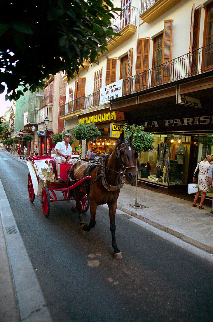 Horse-drawn carriage in Palma, Majorca, Spain