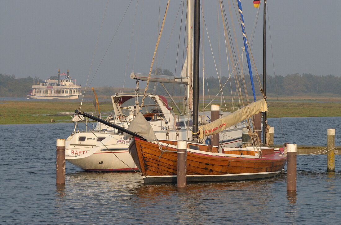 Prerow, bodden harbour, Fischland-Darß-Zingst, Mecklenburg-Pomerania, Germany, Europe