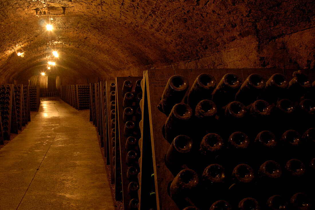 Remich at river Moselle, wine cellar, Luxembourg, Europe