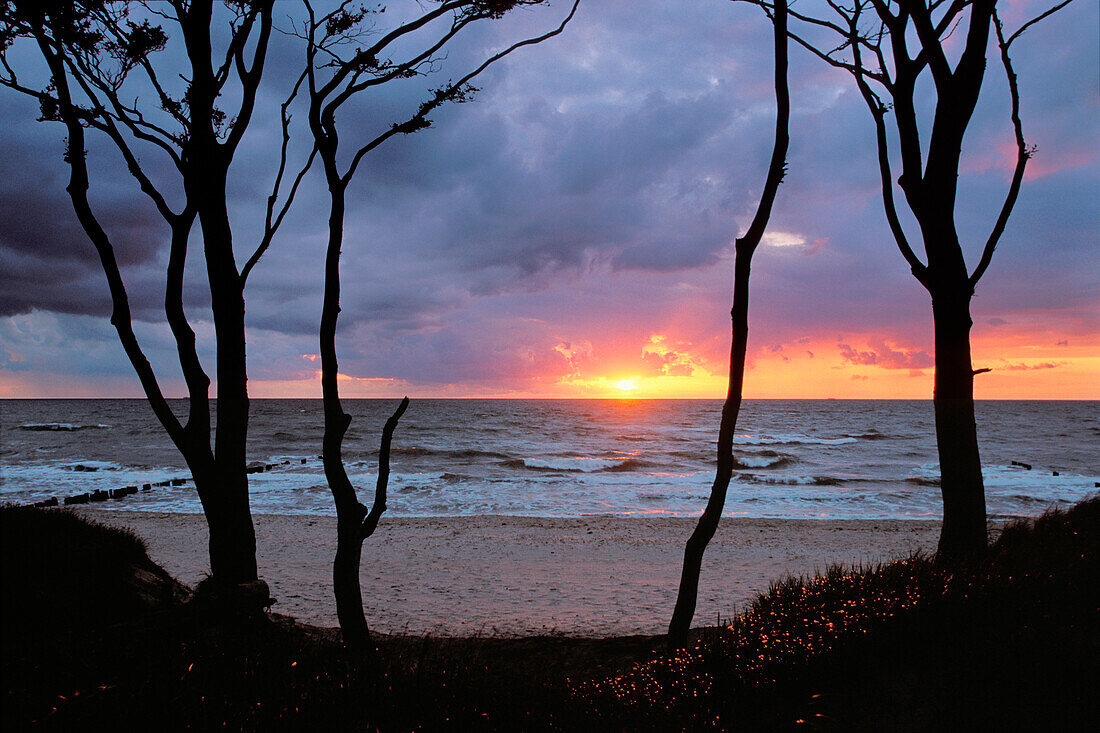 Ostsee-Strand bei Sonnenuntergang, Darss, Nationalpark Vorpommersche Boddenlandschaft, Mecklenburg-Vorpommern, Deutschland