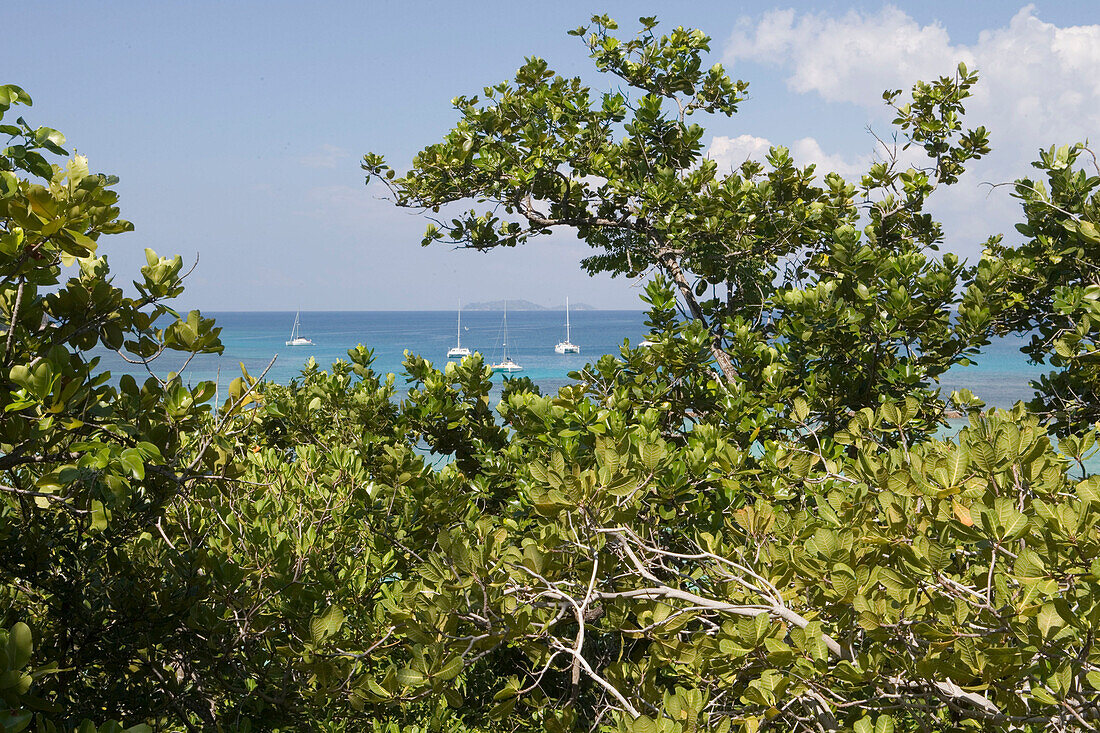 View from Curieuse Island Cross-Island Track,Curieuse Marine National Park, near Praslin Island, Seychelles