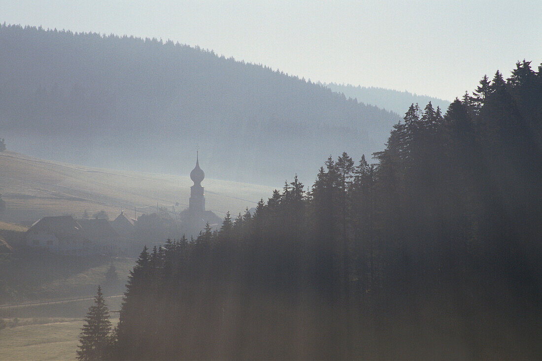 Landschaft im Frühnebel bei Urach, Schwarzwald, Baden-Württemberg, Deutschland