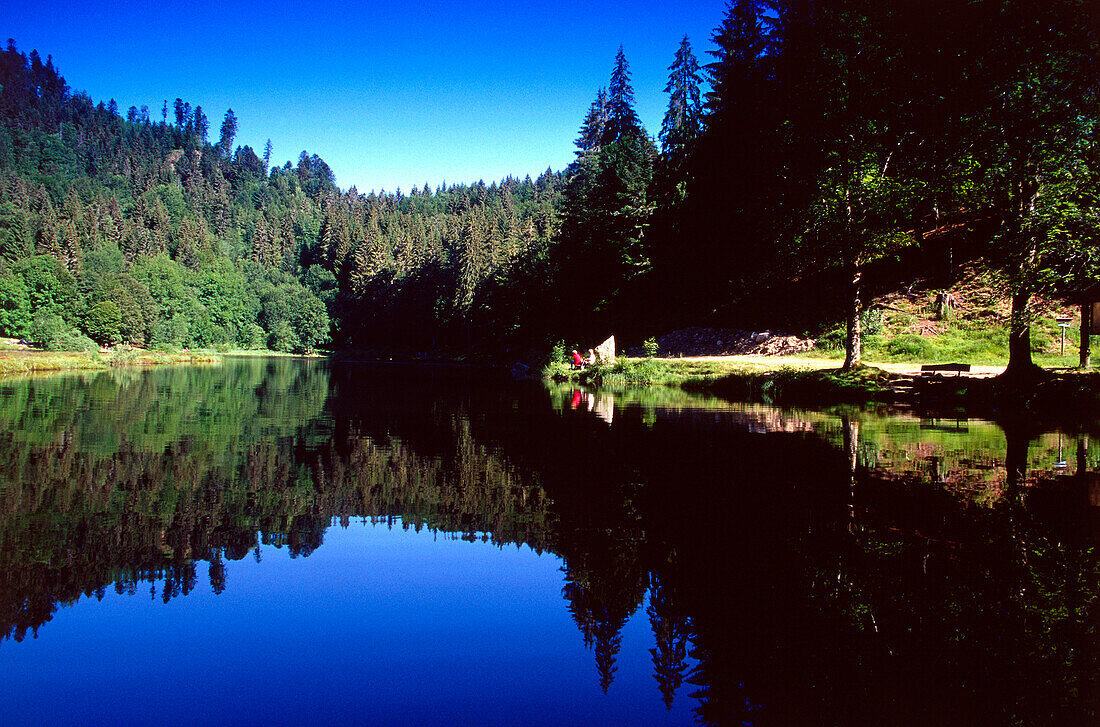 Menschen sitzen an Seeufer, Schwarzwald, Baden-Württemberg, Deutschland