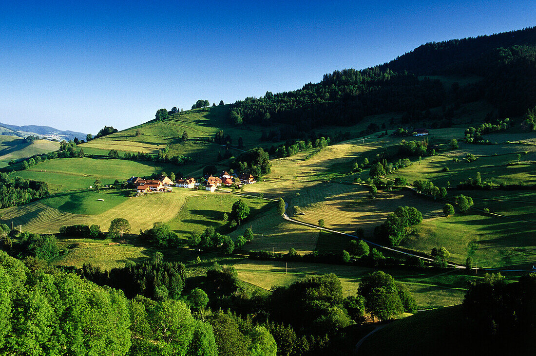 At Wiedener Eck, Black Forest, Baden-Wuerttemberg, Germany