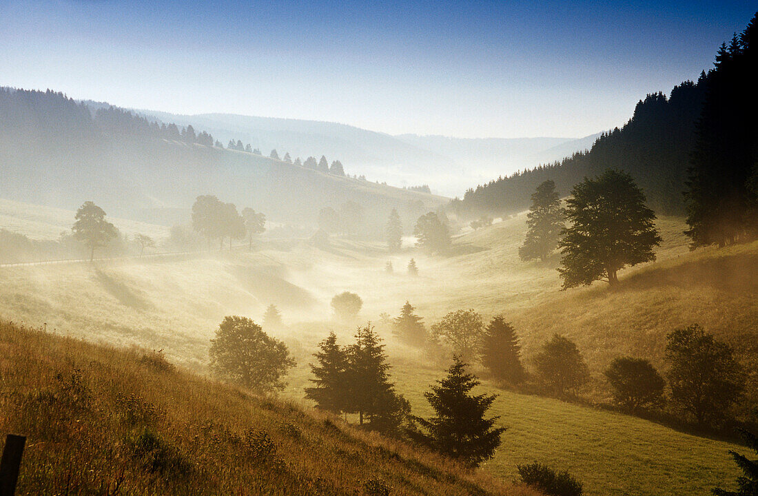 Morgennebel bei Urach, Schwarzwald, Baden-Württemberg, Deutschland