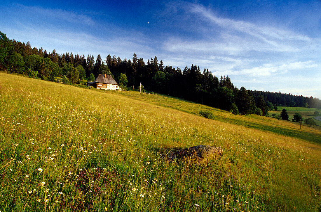 Black Forest House near Schoenwald, Black Forest, Baden-Wuerttemberg, Germany