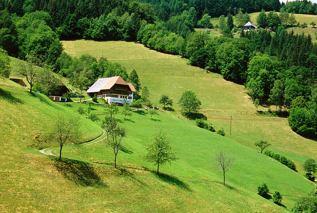 Black Forest Hopuse, Simonswaelder Tal, Black Forest, Baden-Wuerttemberg, Germany