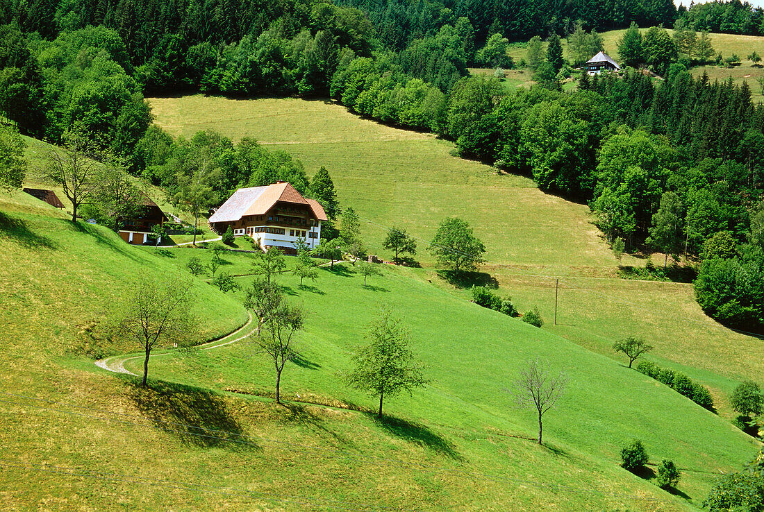 Schwarzwaldhaus im Simonswälder Tal, Schwarzwald, Baden-Württemberg, Deutschland