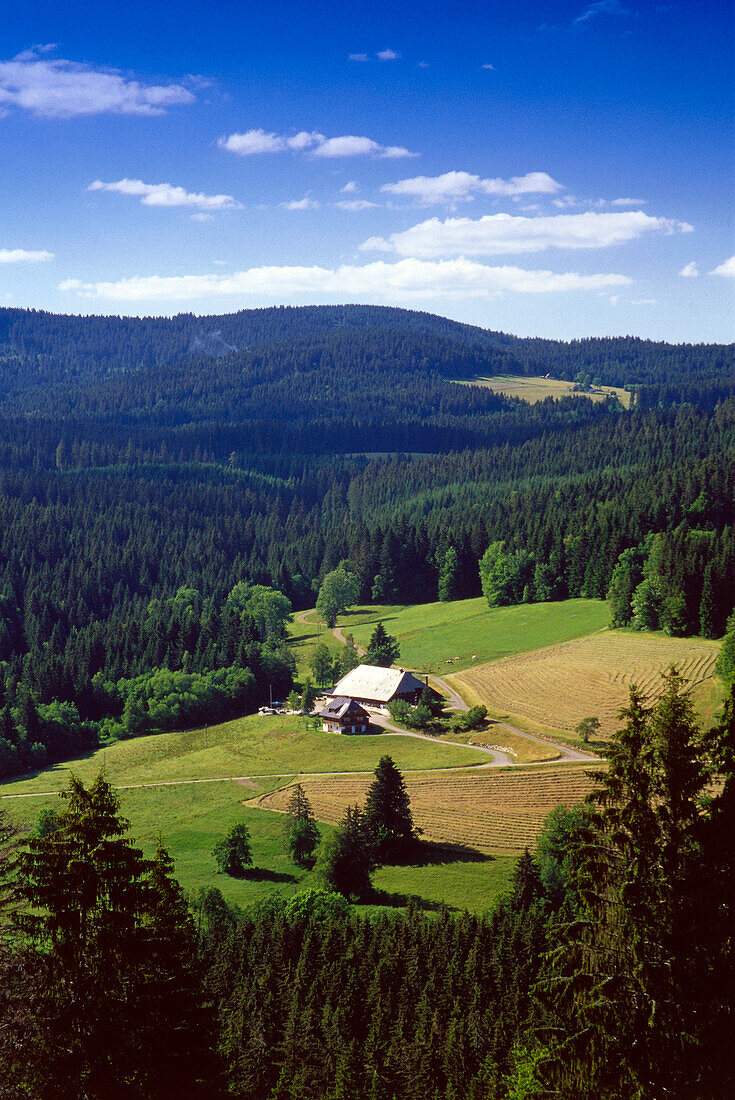 Schwarzwaldhaus bei Bärental, Schwarzwald, Baden-Württemberg, Deutschland
