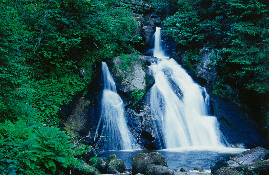 Waterfall, Black Forest, Baden-Wuerttemberg, Germany