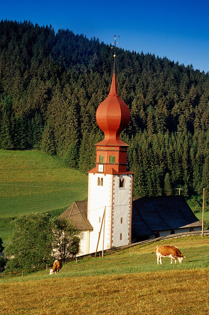 Wehrkirche, Urach, Schwarzwald, Baden-Württemberg, Deutschland