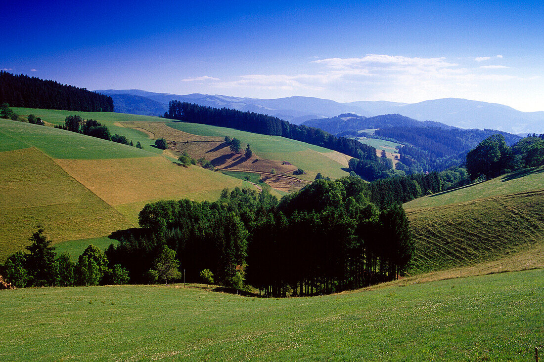 Landschaft bei St. Märgen, Schwarzwald, Baden-Württemberg, Deutschland