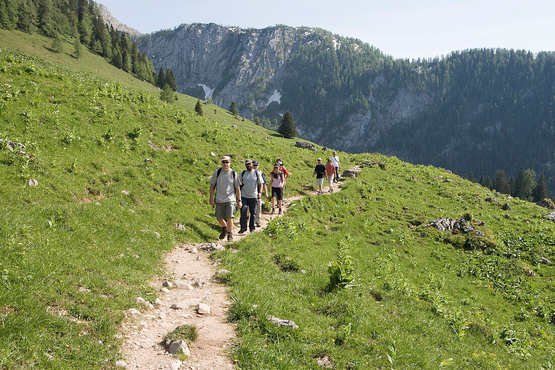 A Group of hikers near Jenner Mountain, Lake Koenigssee, Berchtesgadener Land, Bavaria, Germany