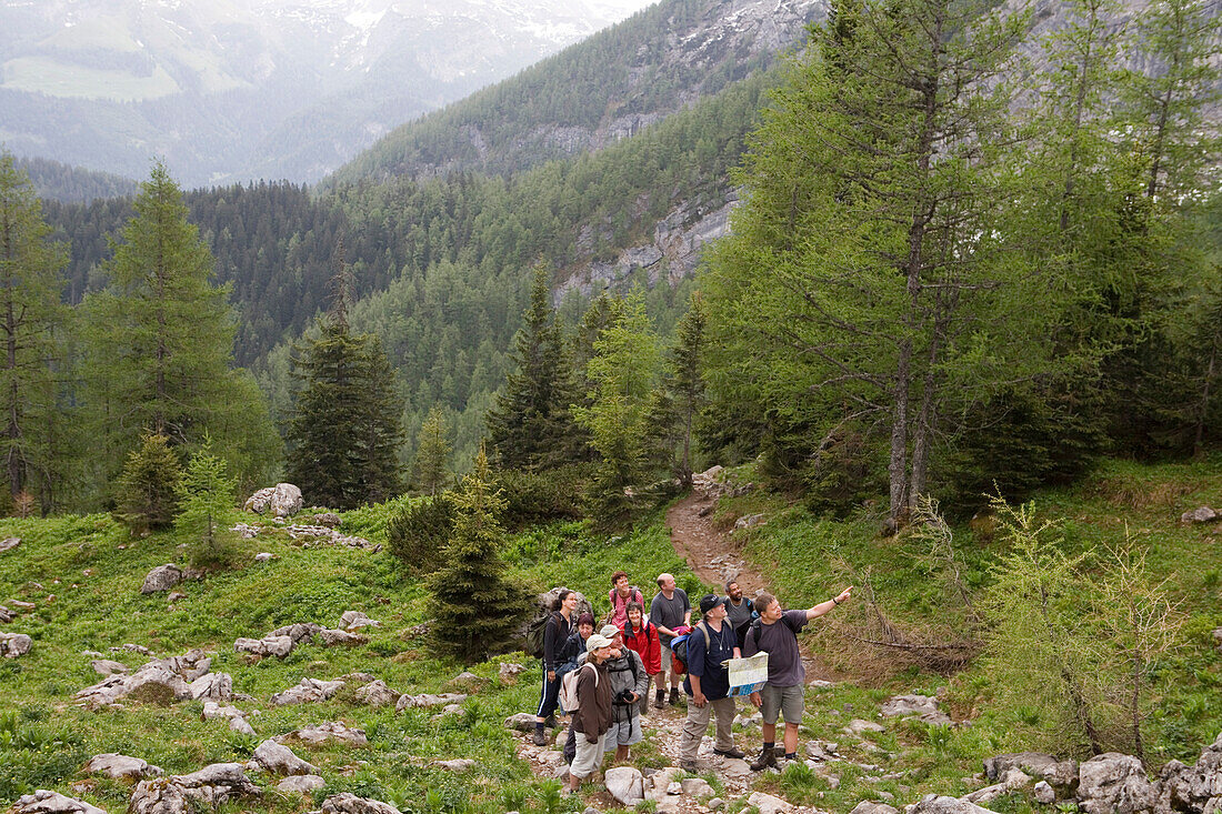 Hikers on Falzsteig hiking track, near the Watzmann Mountain, near Berchtesgaden, Berchtesgadener Land, Bavaria, Germany