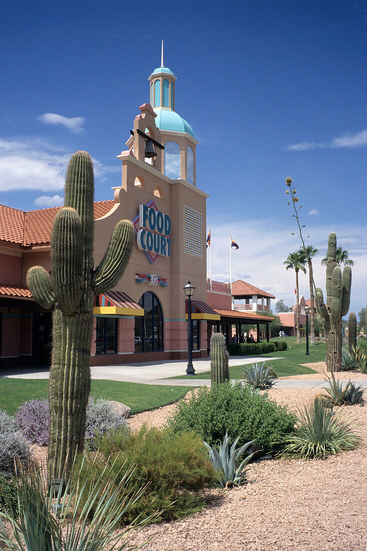 Saguaro Cacti & Arizona Factory Shops, Desert Hills, near Phoenix, Arizona, USA