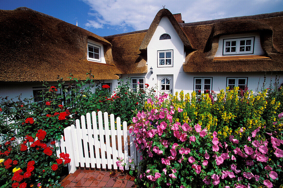 frisian house, Nebel, Amrum Island, Northfriesian Islands, Schleswig-Holstein, Germany